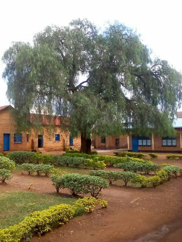 School